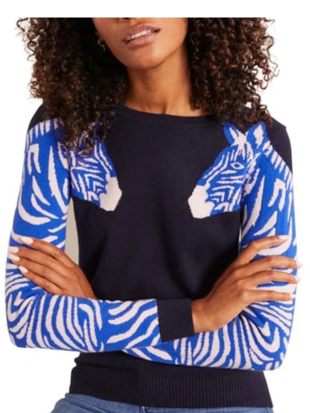 Boden Estella Blue Milkshake Zebra Sweater Size Small